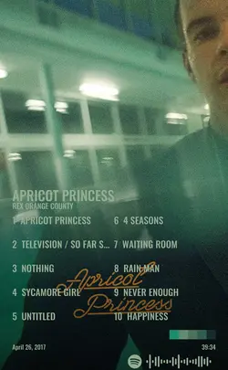 Rex Orange County - Apricot Princess.jpg